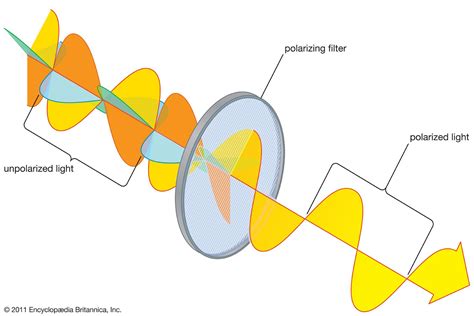 polaroid filter polarization orientation